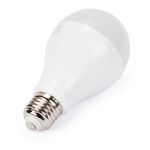2-lampada-LED-Bulbo-E27-6500K-Bivolt-Branco-Frio-CiriloCabos