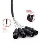 906655-multicabos-com-conectores-xlr-4-vias--profissional-05-A.jpg